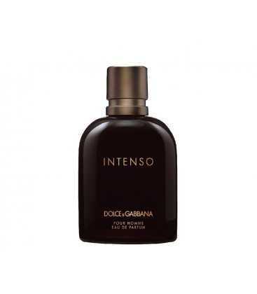 Dolce & Gabbana Pour Homme Intenso EDP 125ML tester Man