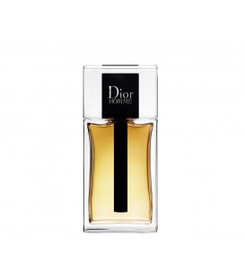 Dior Homme Eau de Toilette 100 ml Erkek tester Man