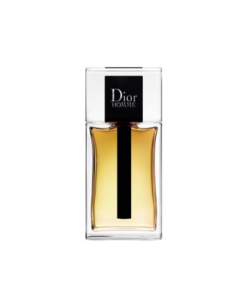 Dior Homme Eau de Toilette 100 ml Erkek tester Man