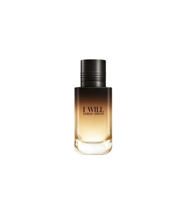 Giorgio Armani I Will Edp 100 Ml Erkek Tester