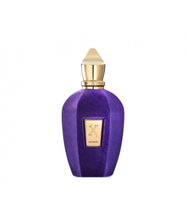 Xerjoff Accento - Eau De Parfum 100ML tester Unisex