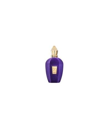 Xerjoff Accento - Eau De Parfum 100ML tester Unisex