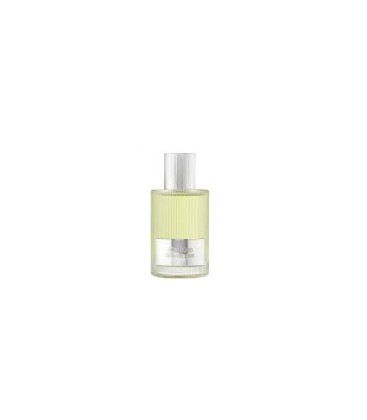 Tom Ford Beau De Jour EDP 100ML Tester Unisex